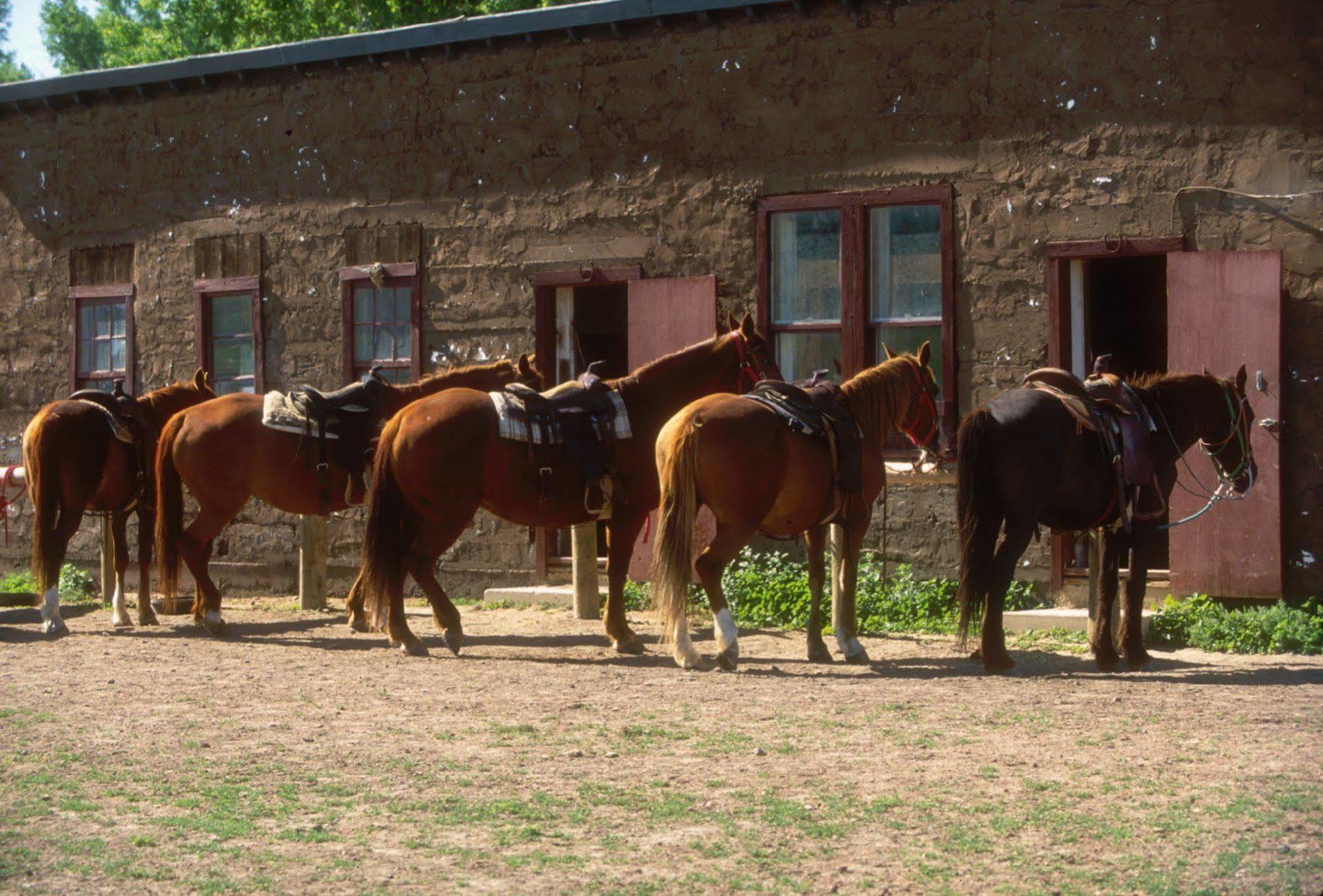 The Ranch At Ucross Hotel Ngoại thất bức ảnh